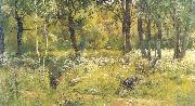 Ivan Shishkin, Grassy Glades of the Forest